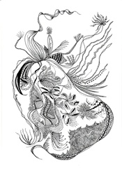 natura viva p