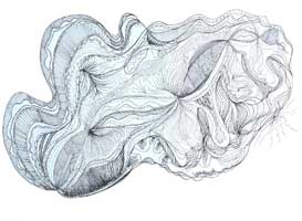 nuvola acquatica p