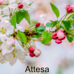 attesa