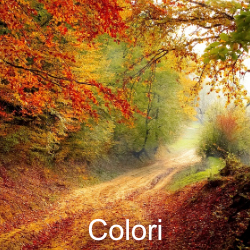 colori