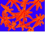 CONNESSIONI p
